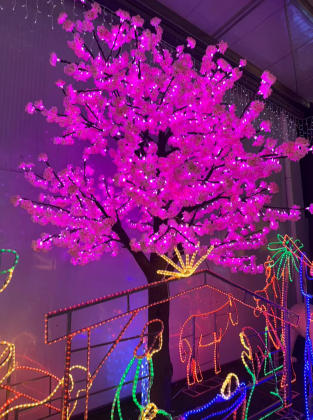 10' Pink tree