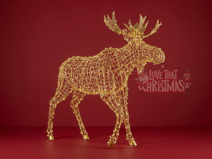 Big Moose LED Christmas Display