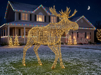 Big Moose LED Christmas Display