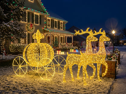 Mini Carriage Ride LED Christmas Display