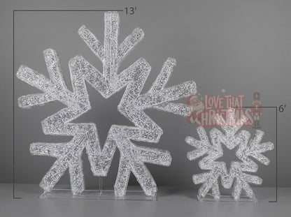 Illuminated Snowflake Pair