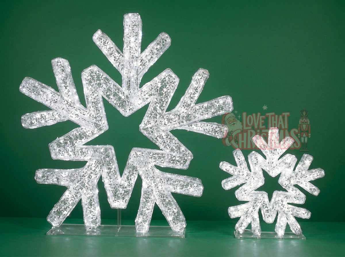 Illuminated Snowflake Pair