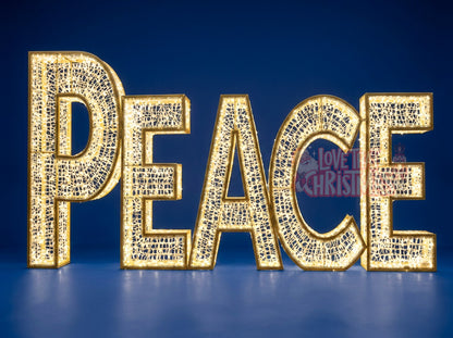 6.6' Illuminated PEACE Display