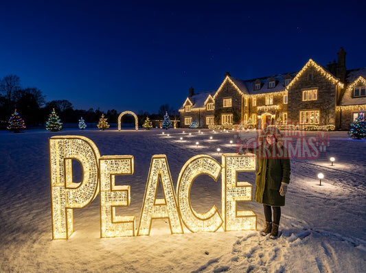 6.6' Illuminated PEACE Display