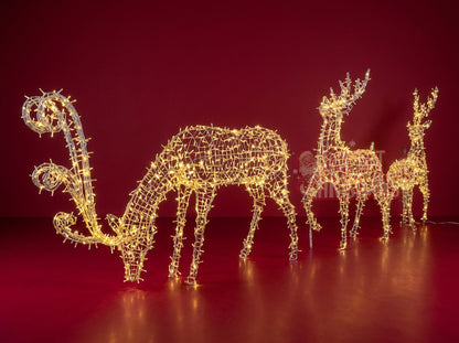 Lighted 3D Standing Buck Reindeer with Antlers