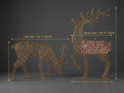 Christmas deer set