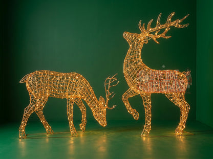 Christmas deer set