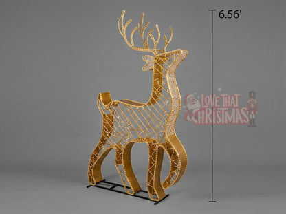deer