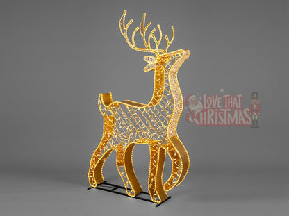 deer