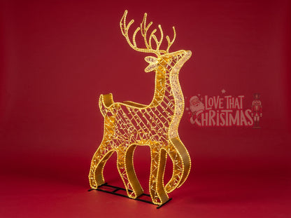 deer